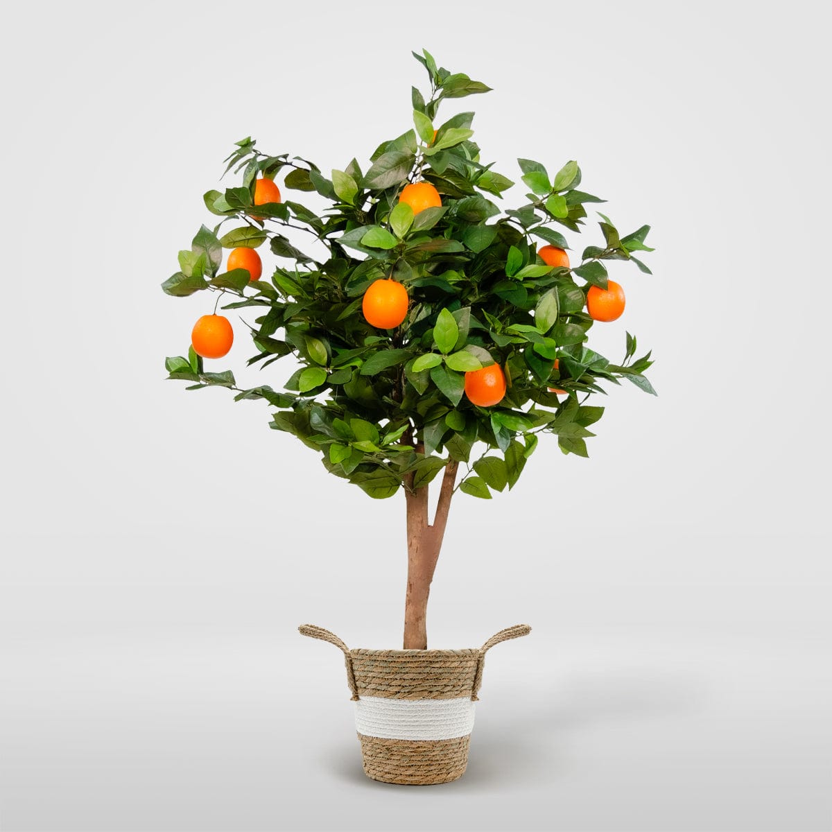 Árbol Naranjo