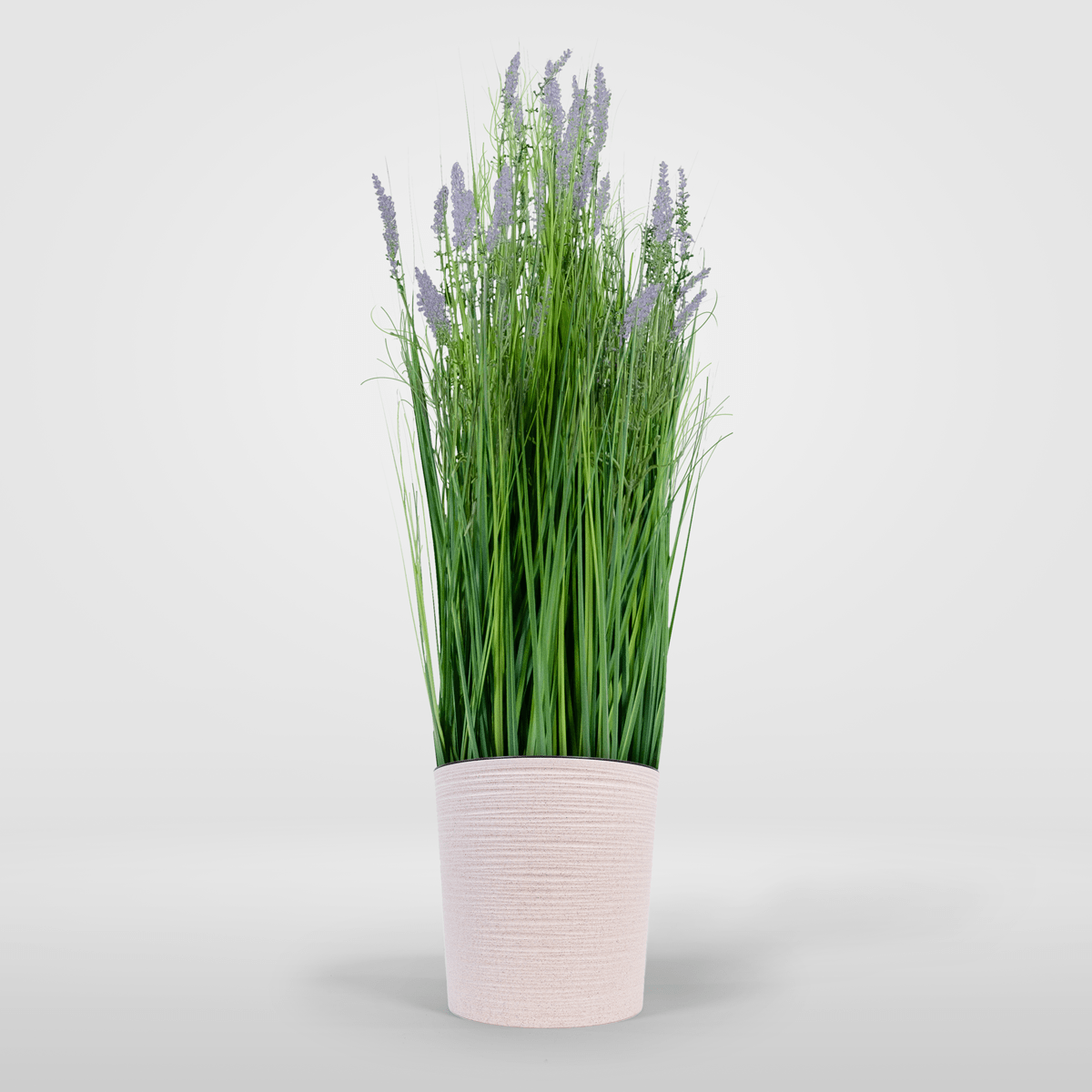 Kin Grass Lavande
