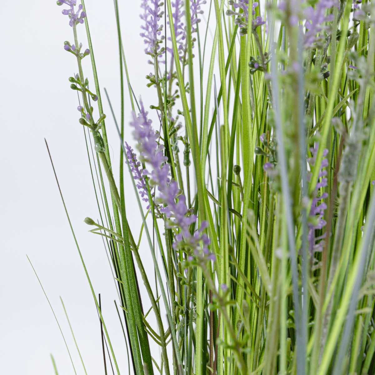 Kin Grass Lavande