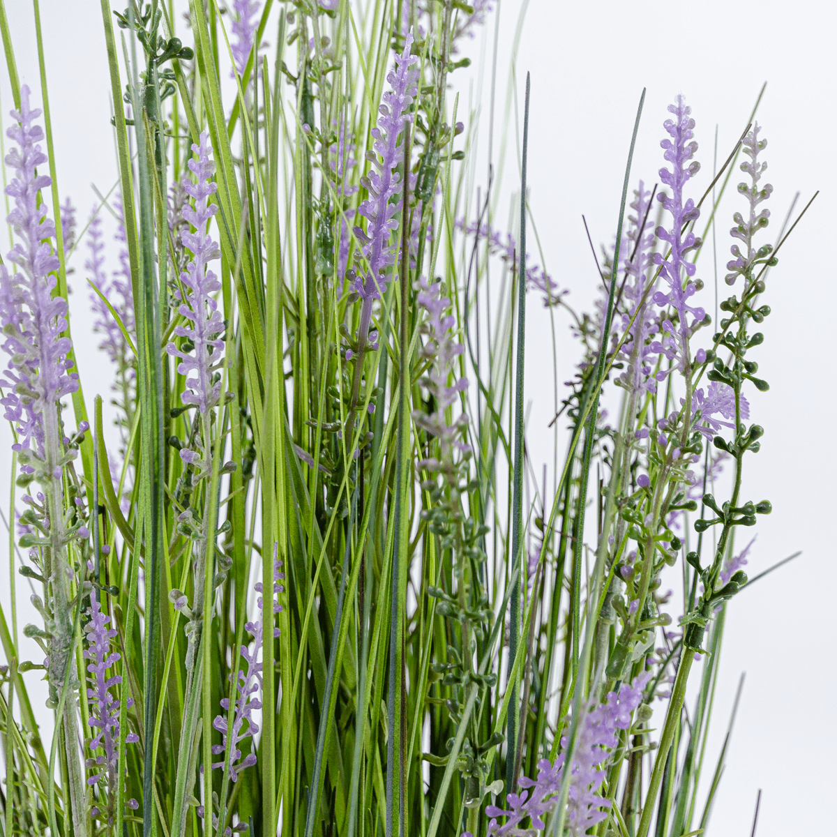Kin Grass Lavande