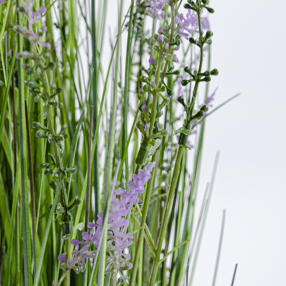 Kin Grass Lavande