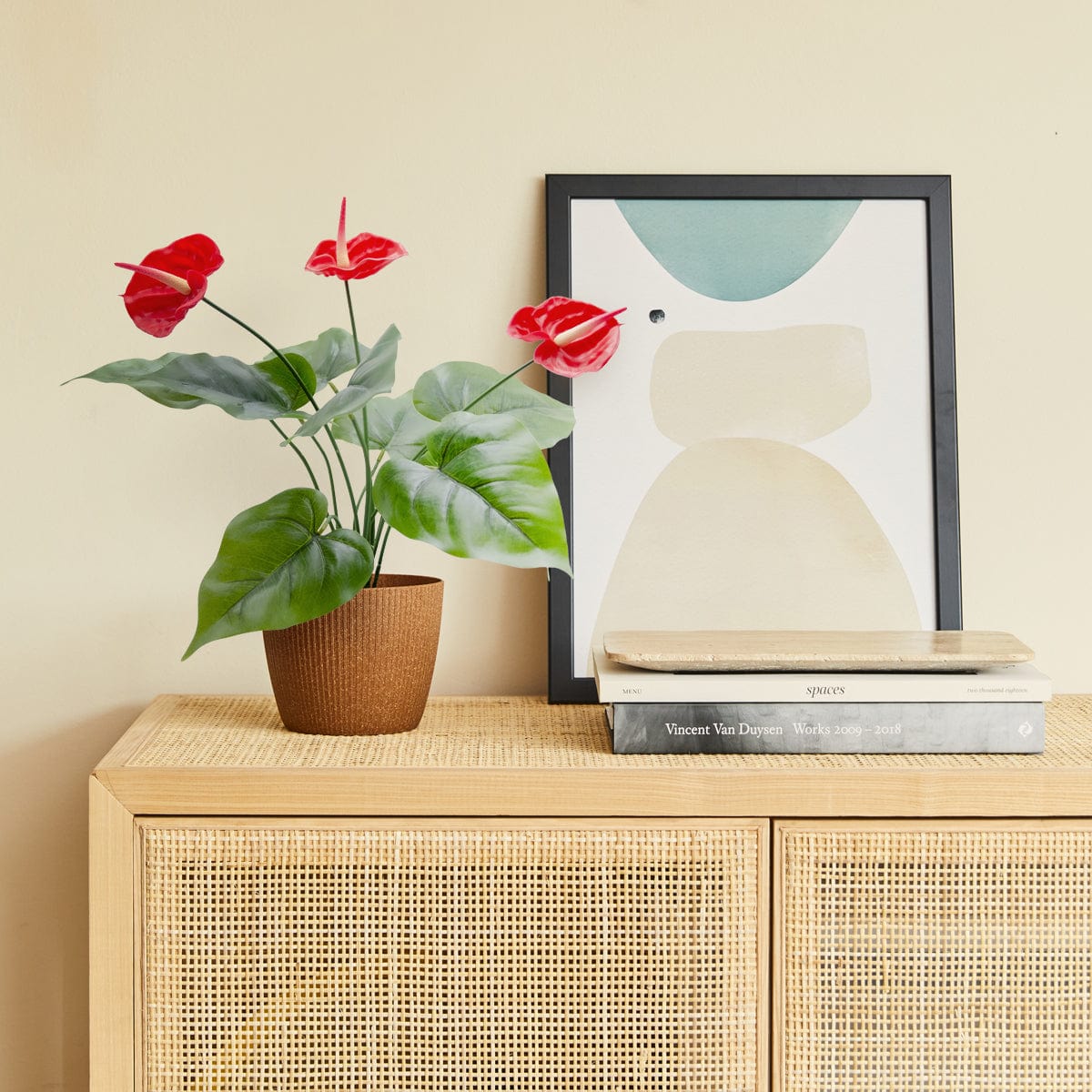 Anthurium