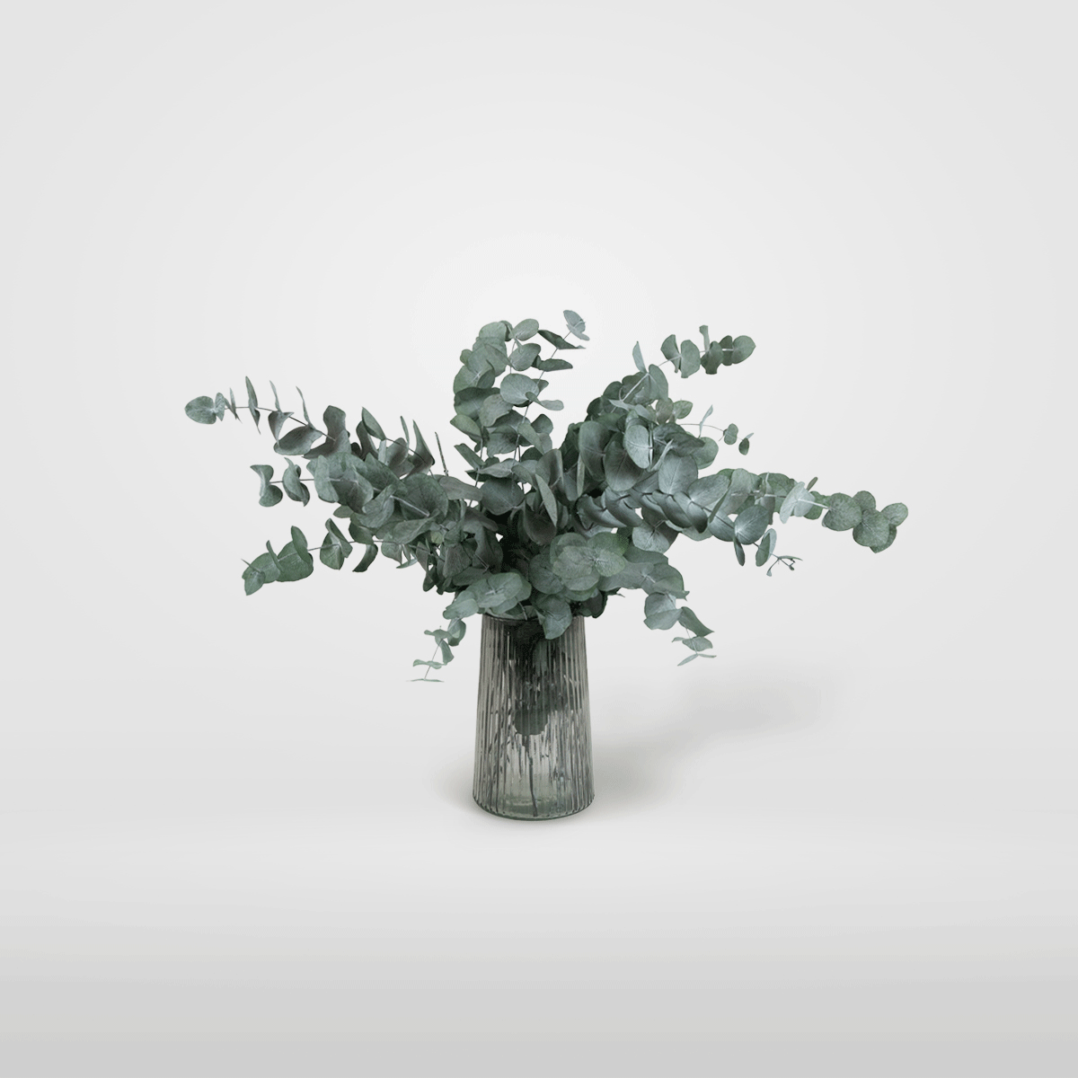 Ramo Eucalipto Verde