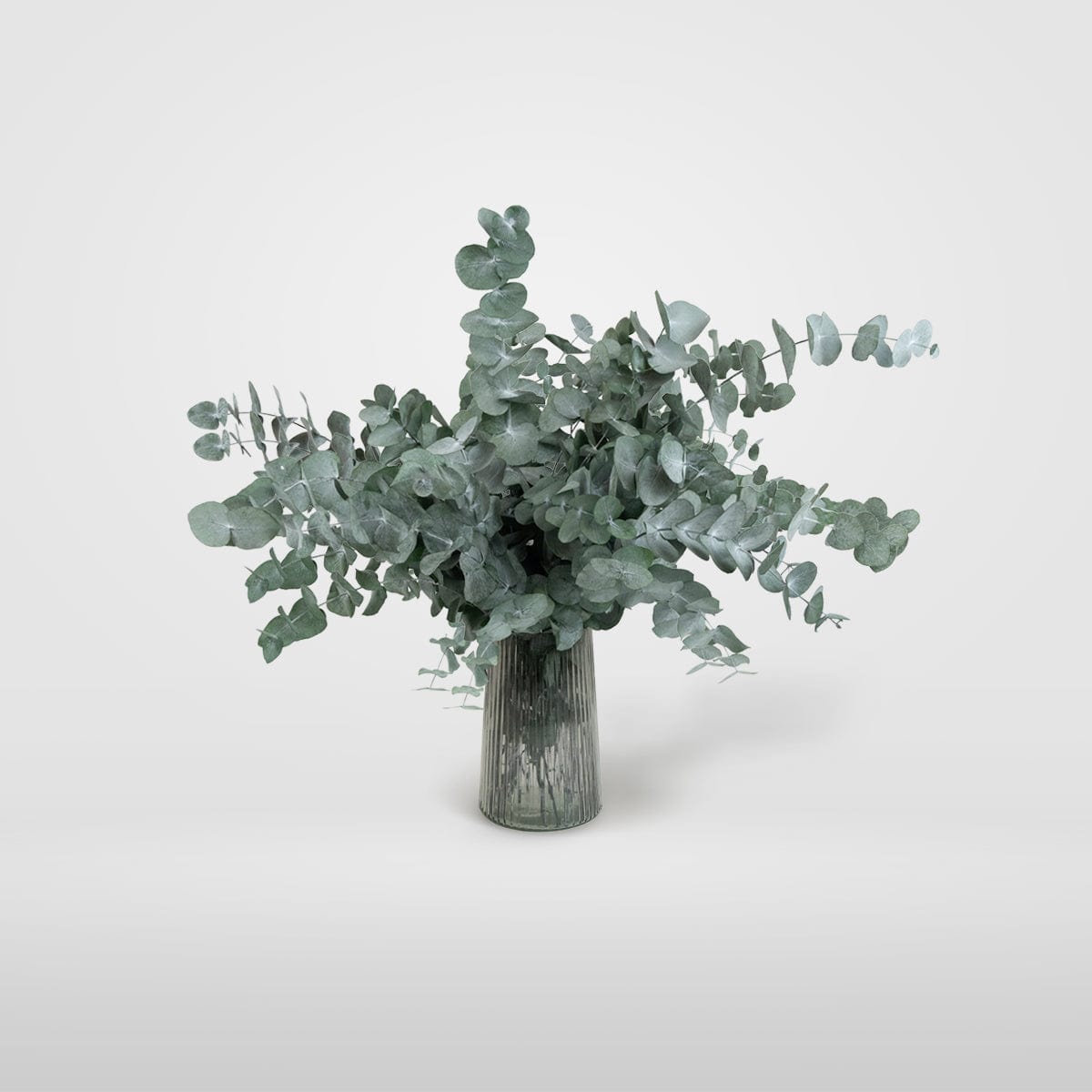 Ramo Eucalipto Verde