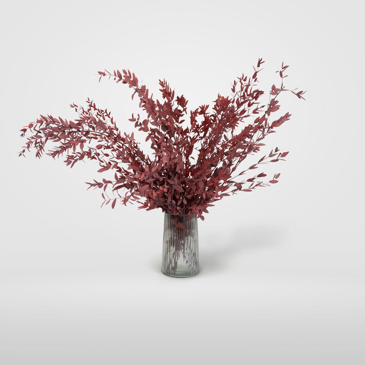 Ramo Parvifolia Granate