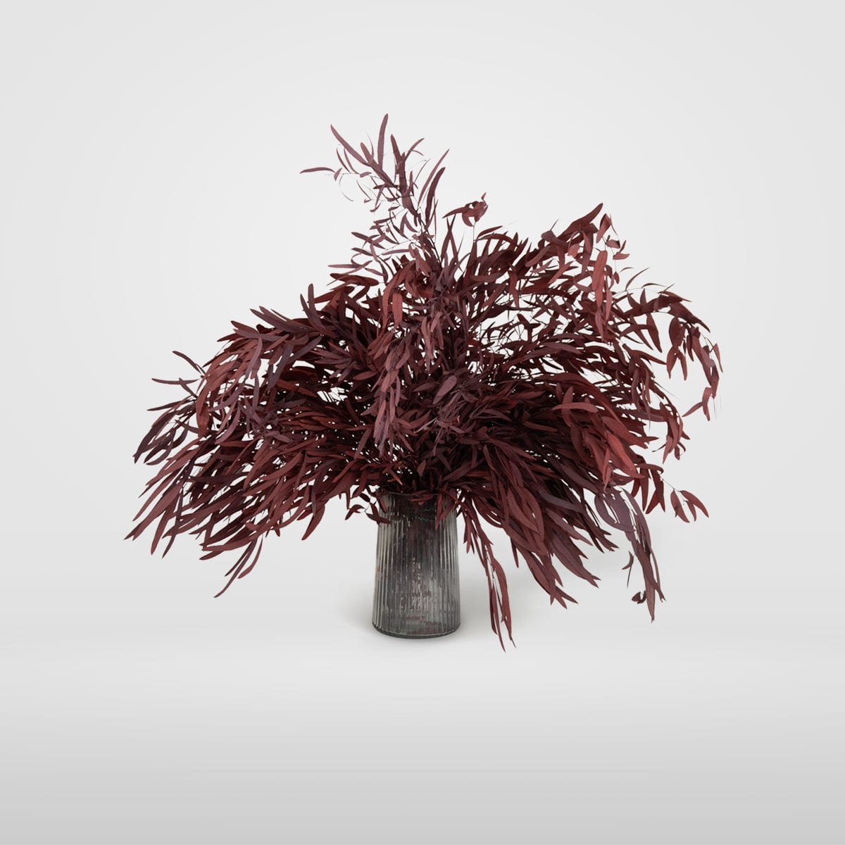 Ramo Eucalipto Nicholli Granate