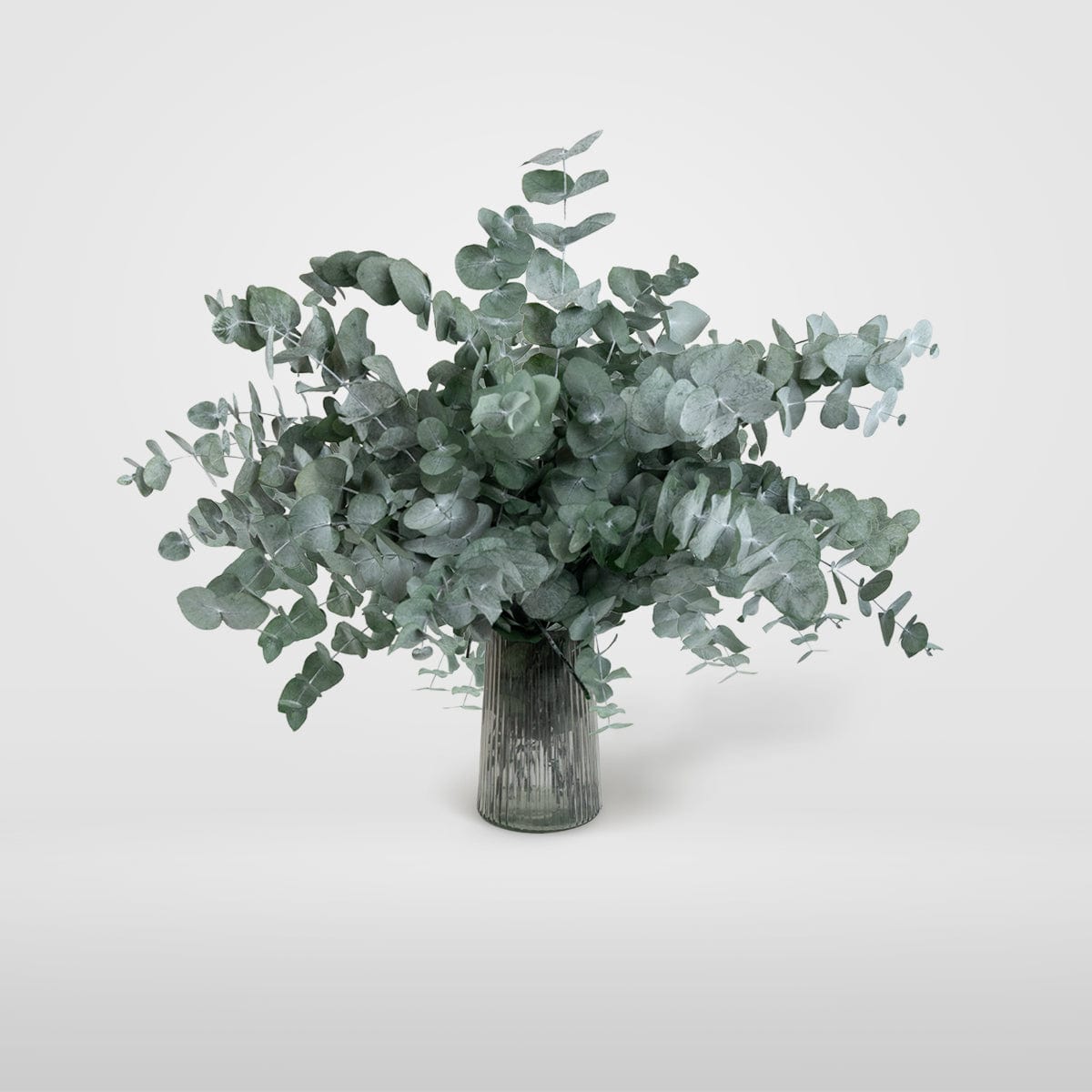 Ramo Eucalipto Verde