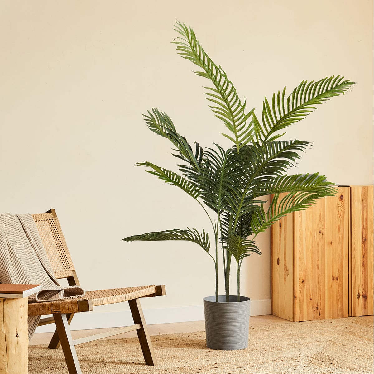 Palmera Klein XL