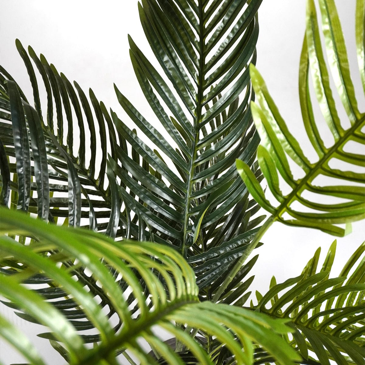 Palmera Klein XL