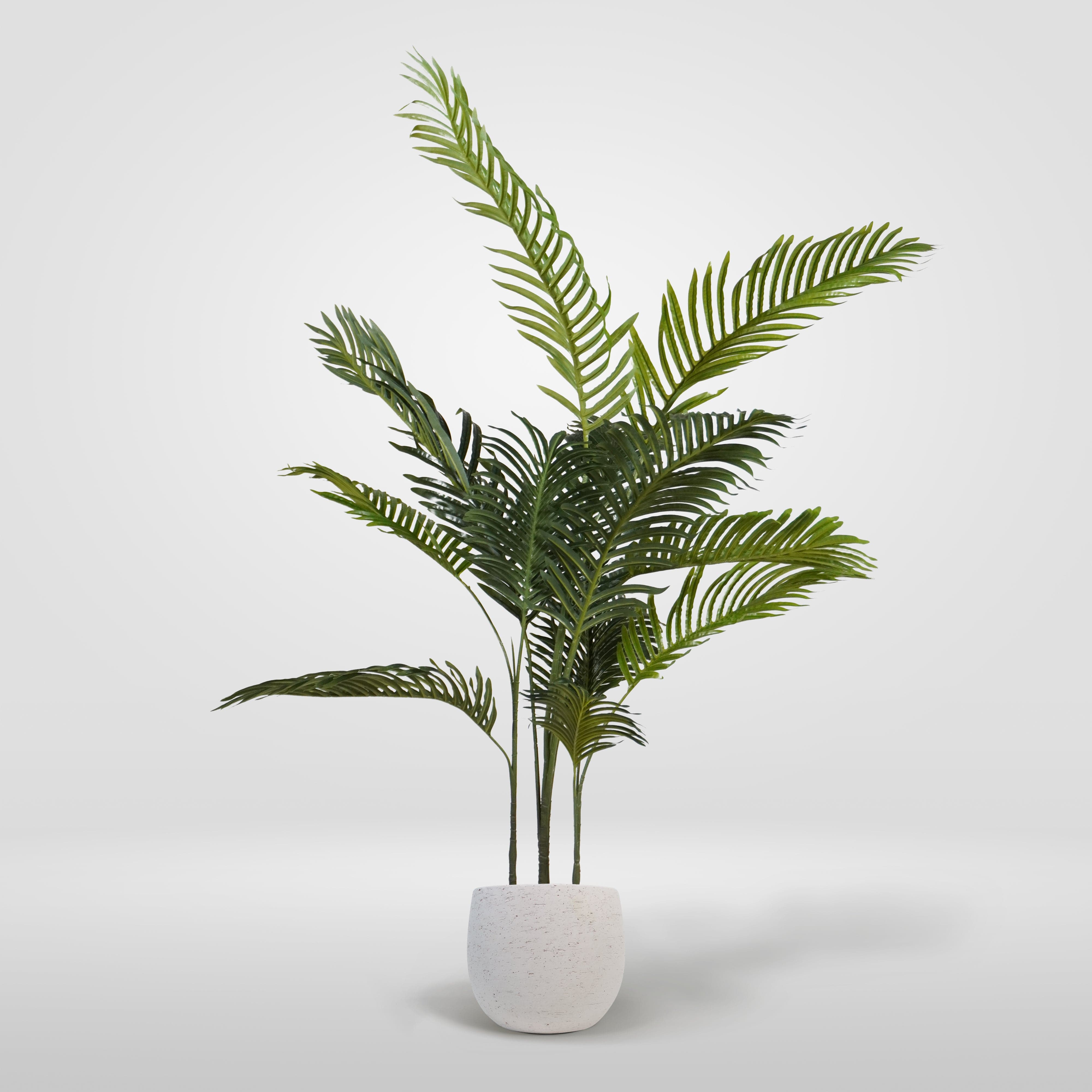 Palmera Klein XL