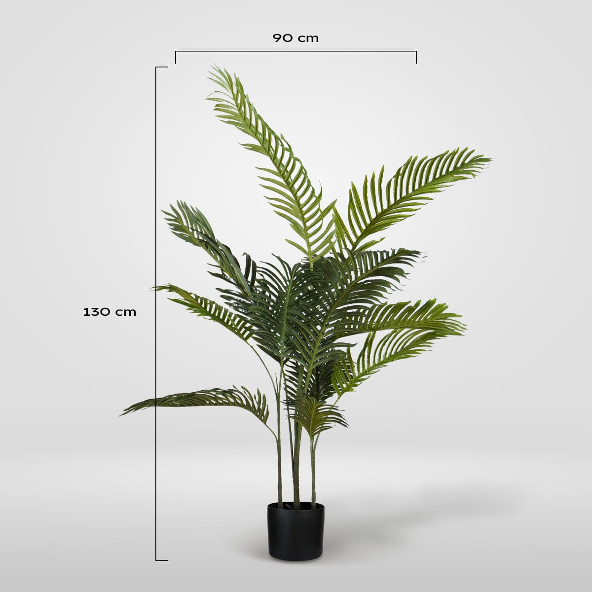 Palmera Klein XL