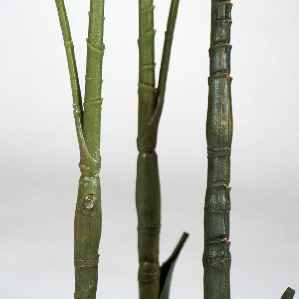 Palmera Klein