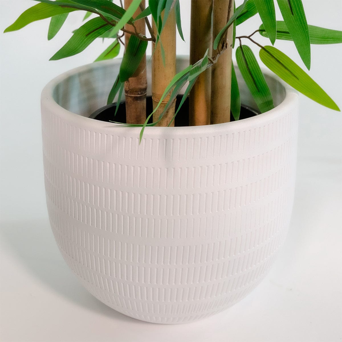Oriental Bamboo