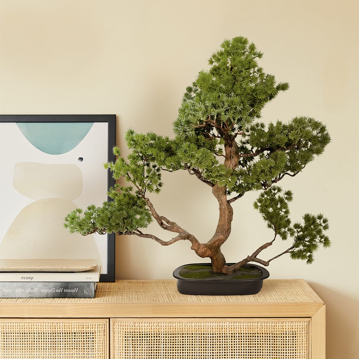 Bonsai