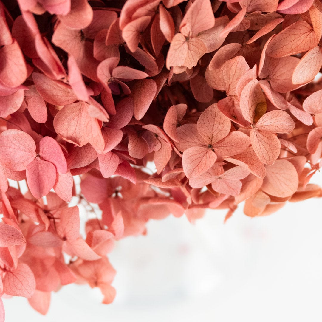 Ramo Hortensia Rosa