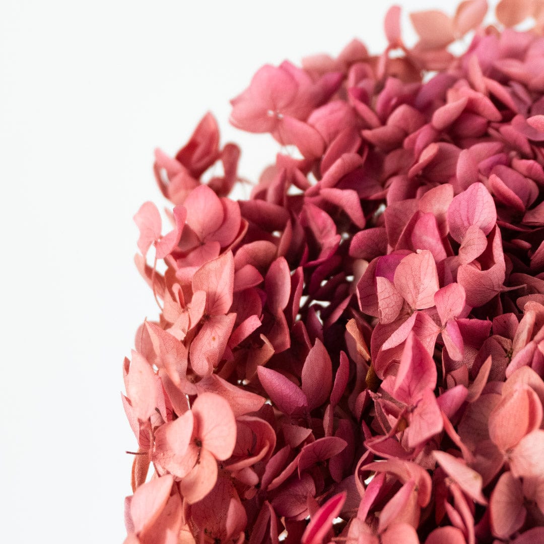Ramo Hortensia Rosa