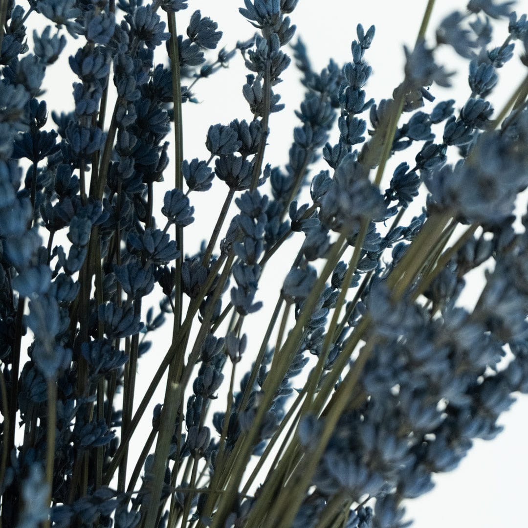 Ramo Lavanda Azul