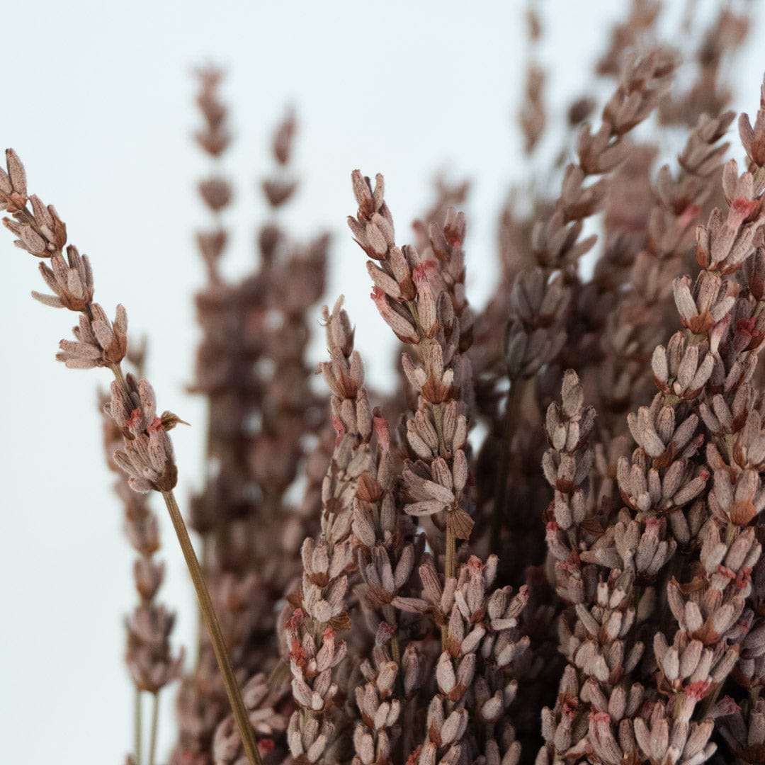 Ramo Lavanda Rosa