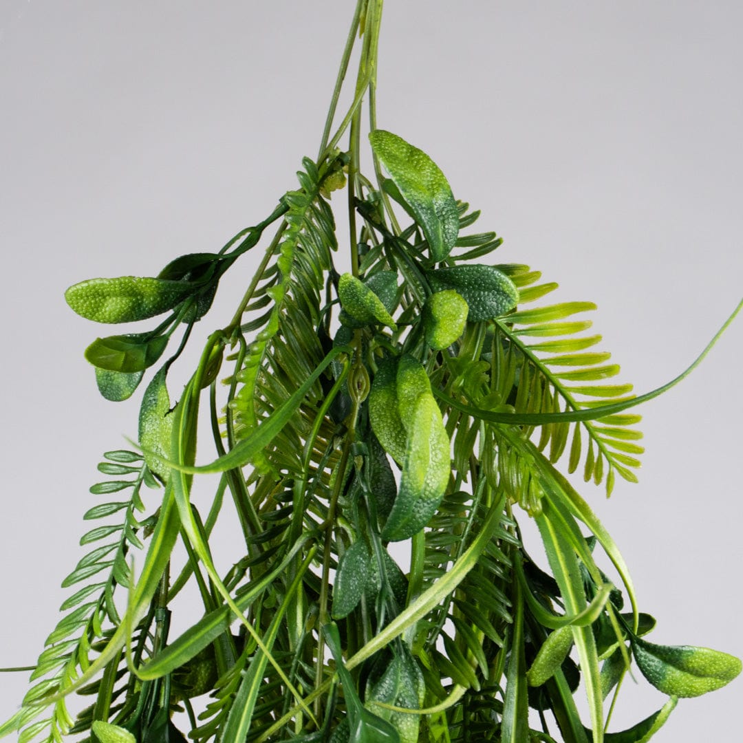 Colgante hojas y helechos