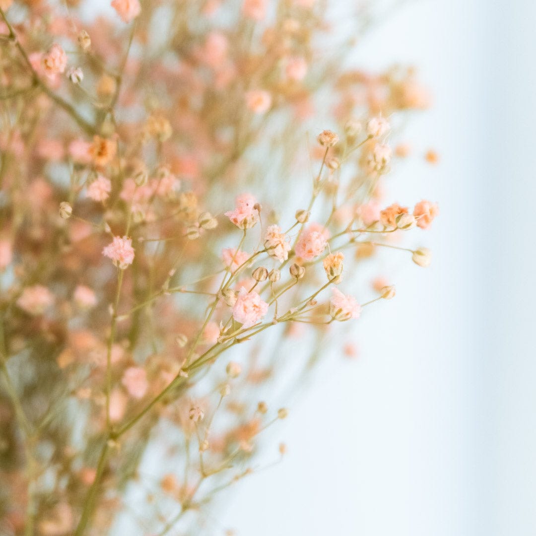 Ramo Gypso Rosa Claro