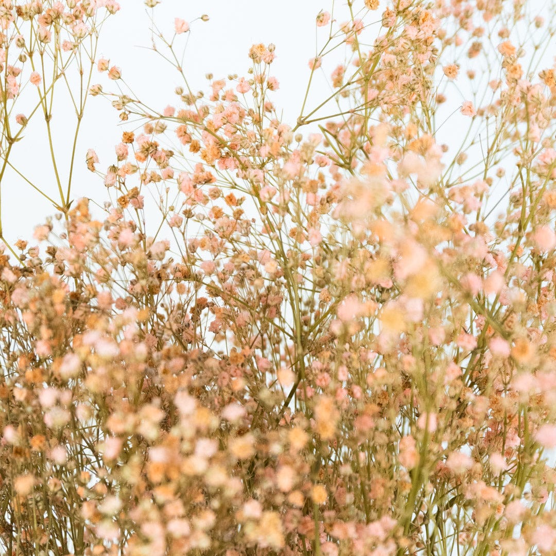 Ramo Gypso Rosa Claro