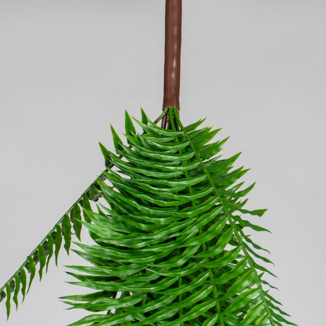 Helechosa Colgante Verde