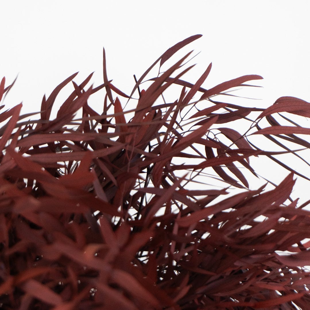 Ramo Eucalipto Nicholli Granate