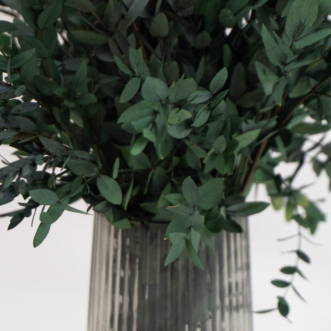 Ramo Parvifolia Verde