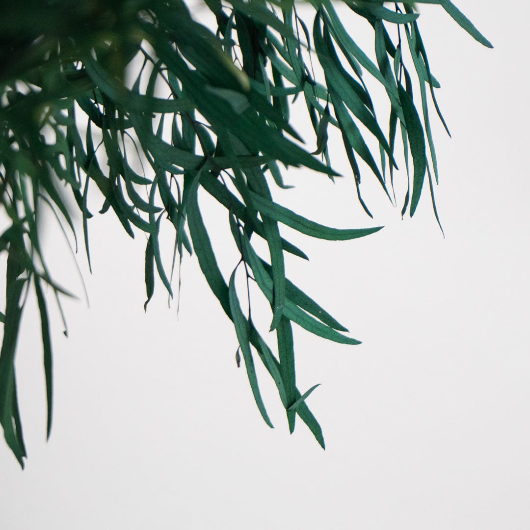 Ramo Eucalipto Nicholli Azul