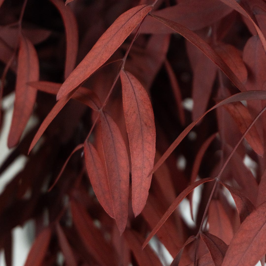 Ramo Eucalipto Nicholli Granate