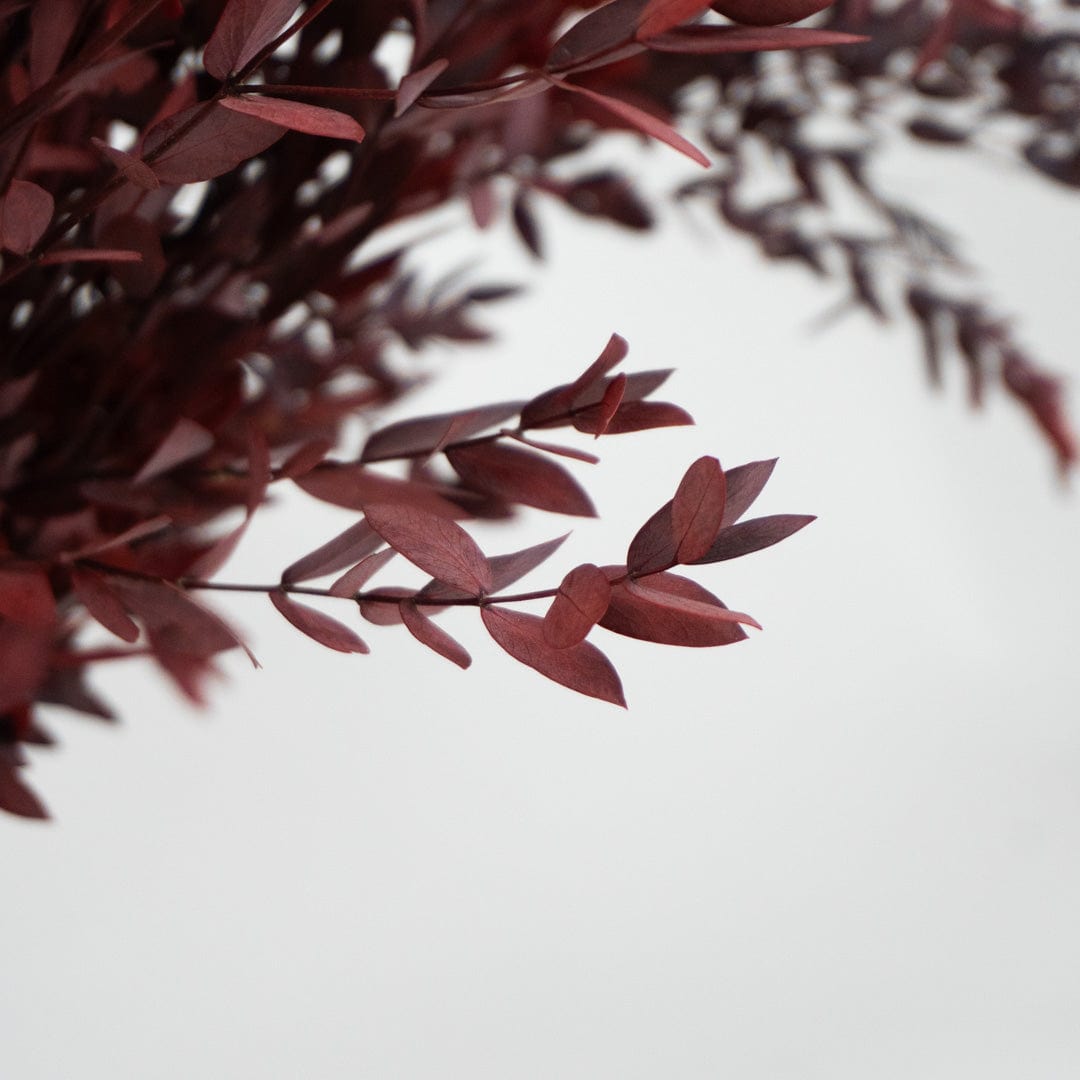 Ramo Parvifolia Granate