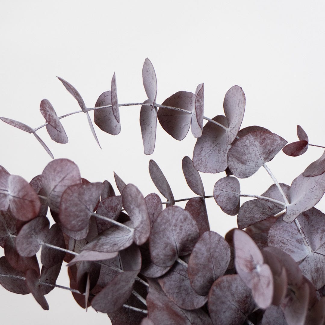 Ramo Eucalipto Granate