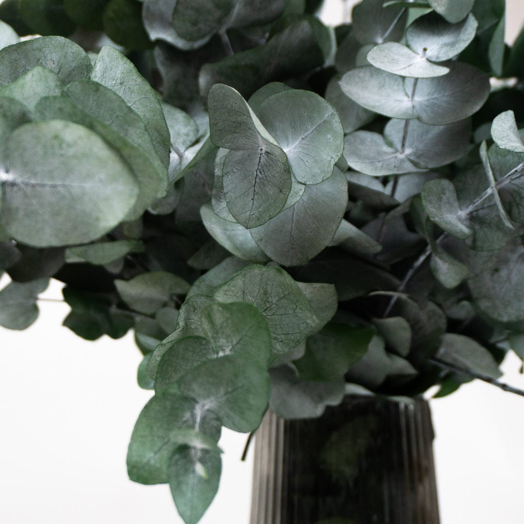 Ramo Eucalipto Verde