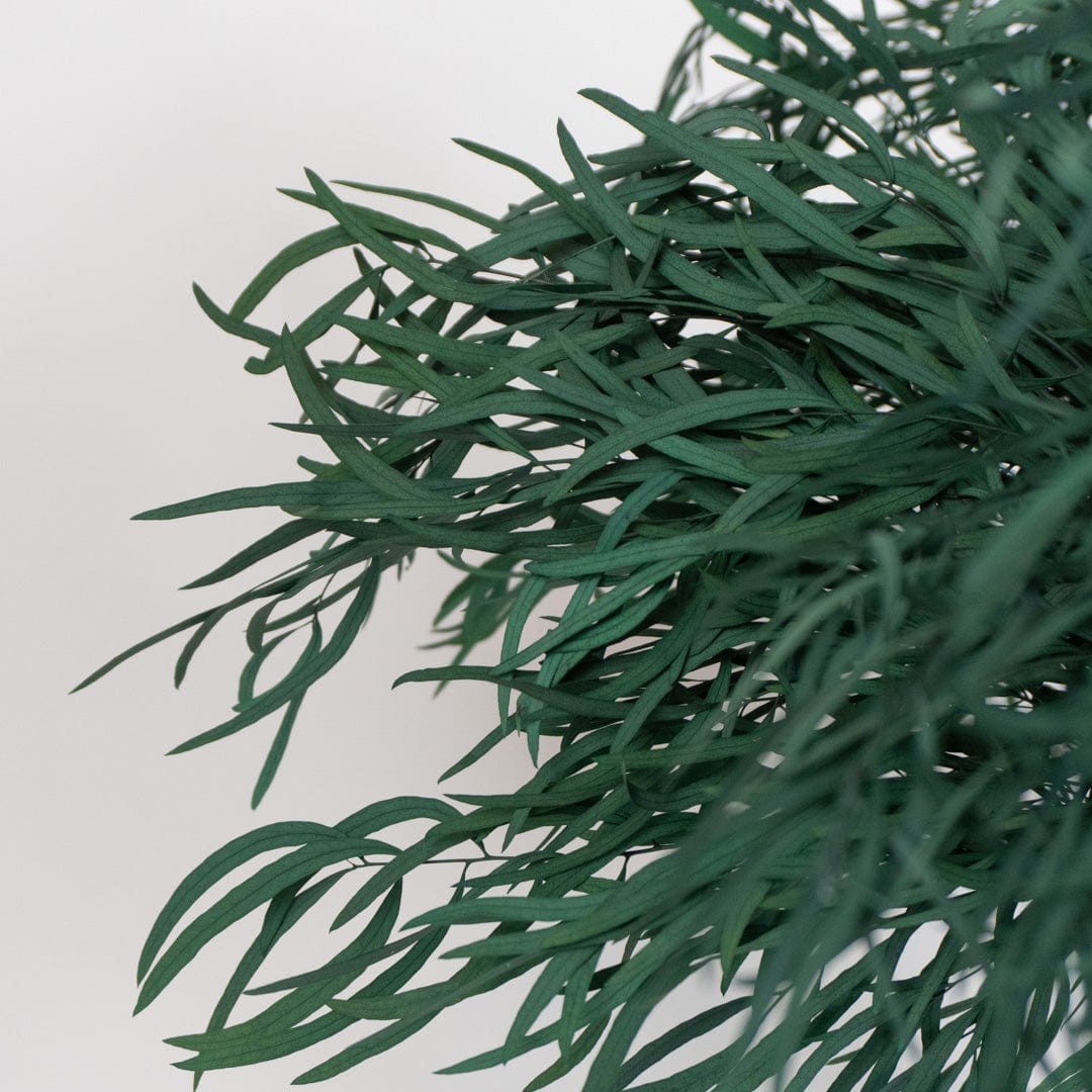 Ramo Eucalipto Nicholli Azul