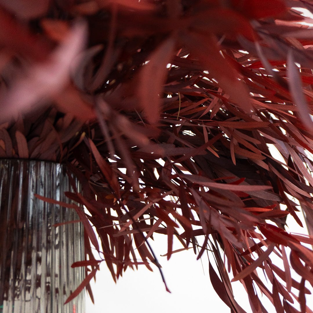 Ramo Eucalipto Nicholli Granate