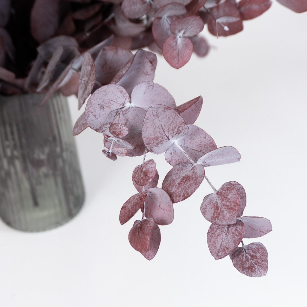 Ramo Eucalipto Granate