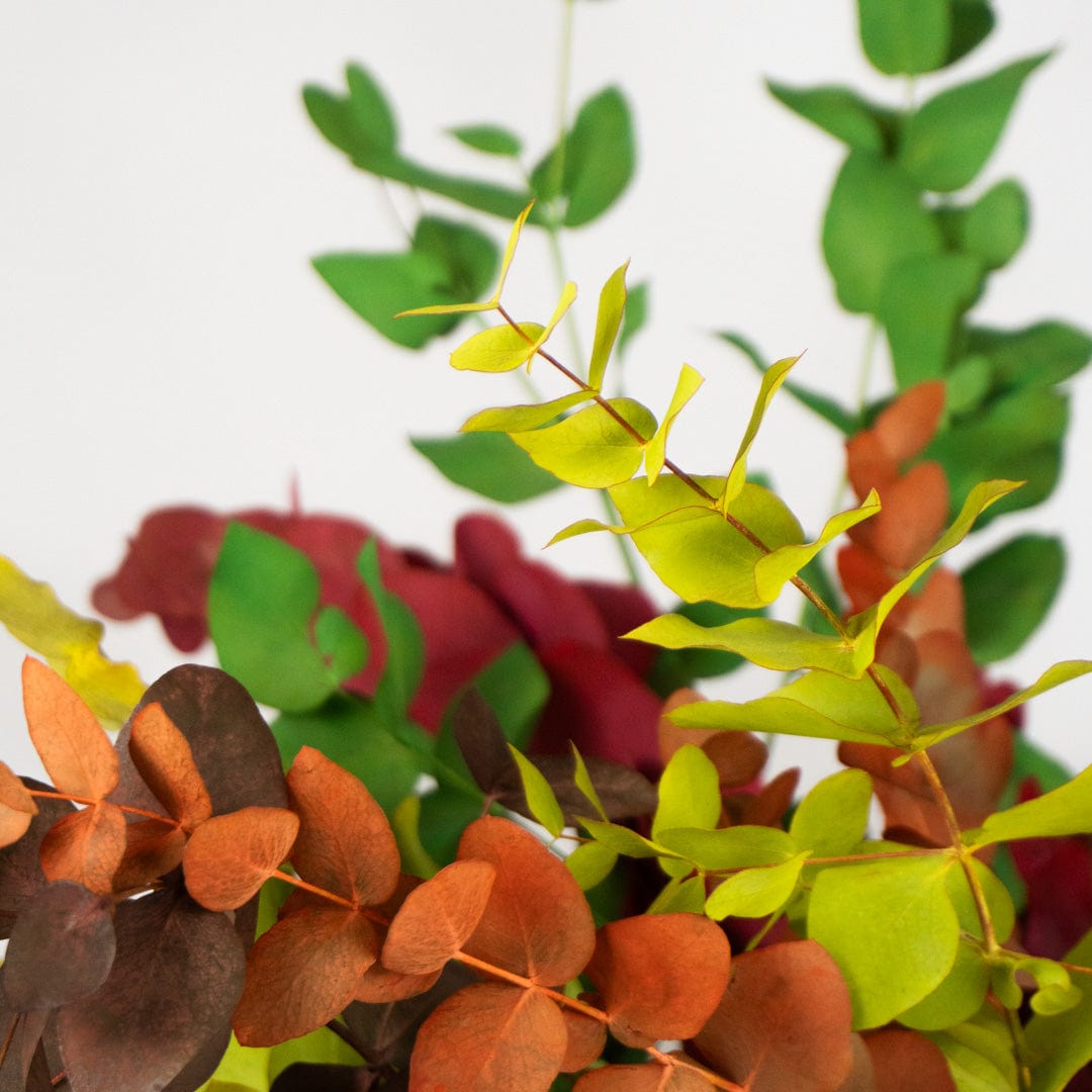 Ramo Eucalipto Mixto