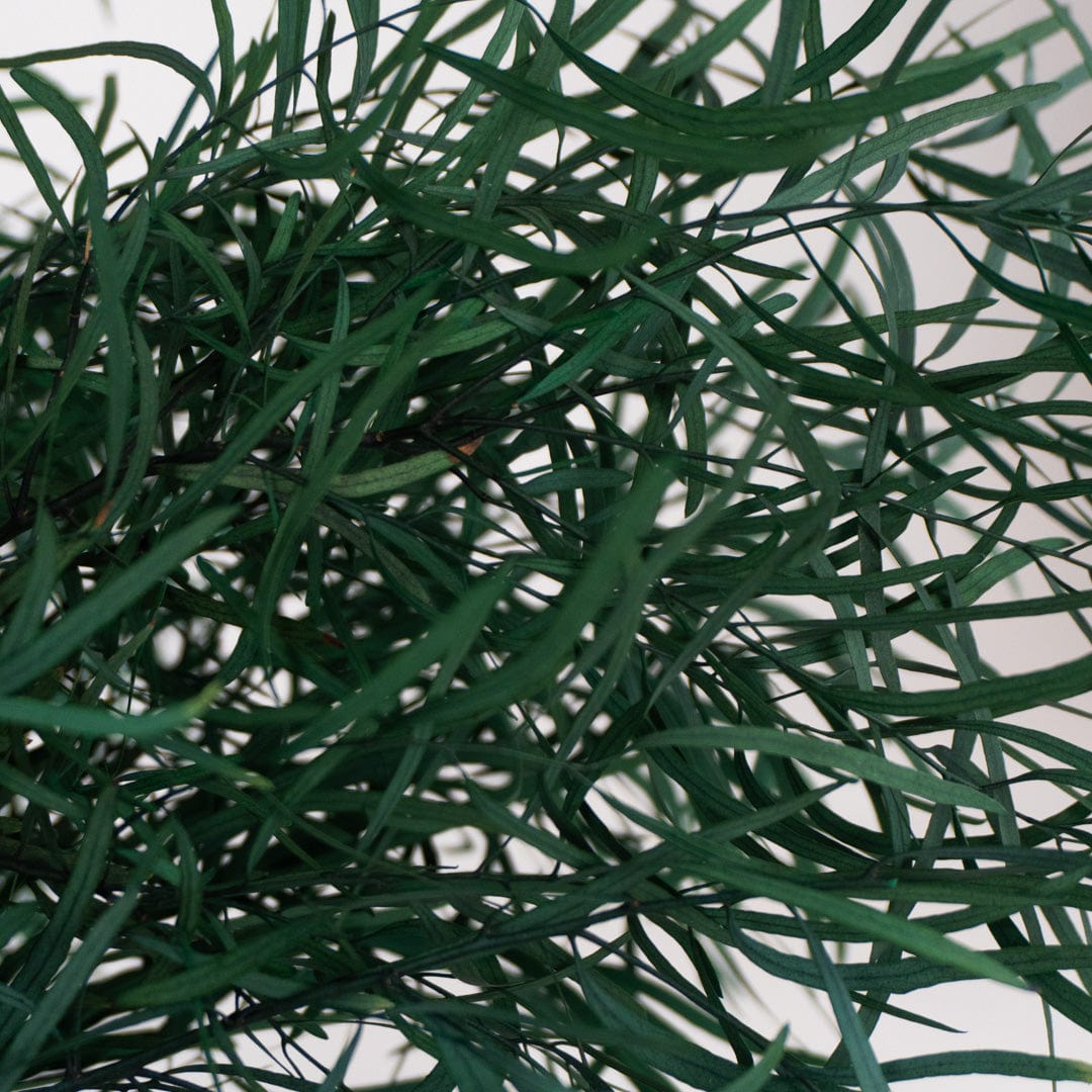 Ramo Eucalipto Nicholli Azul