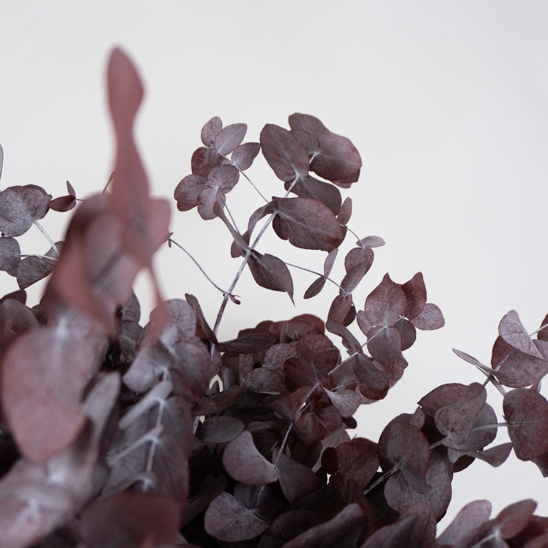 Ramo Eucalipto Granate