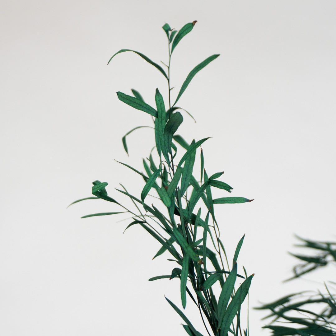 Ramo Eucalipto Nicholli Azul