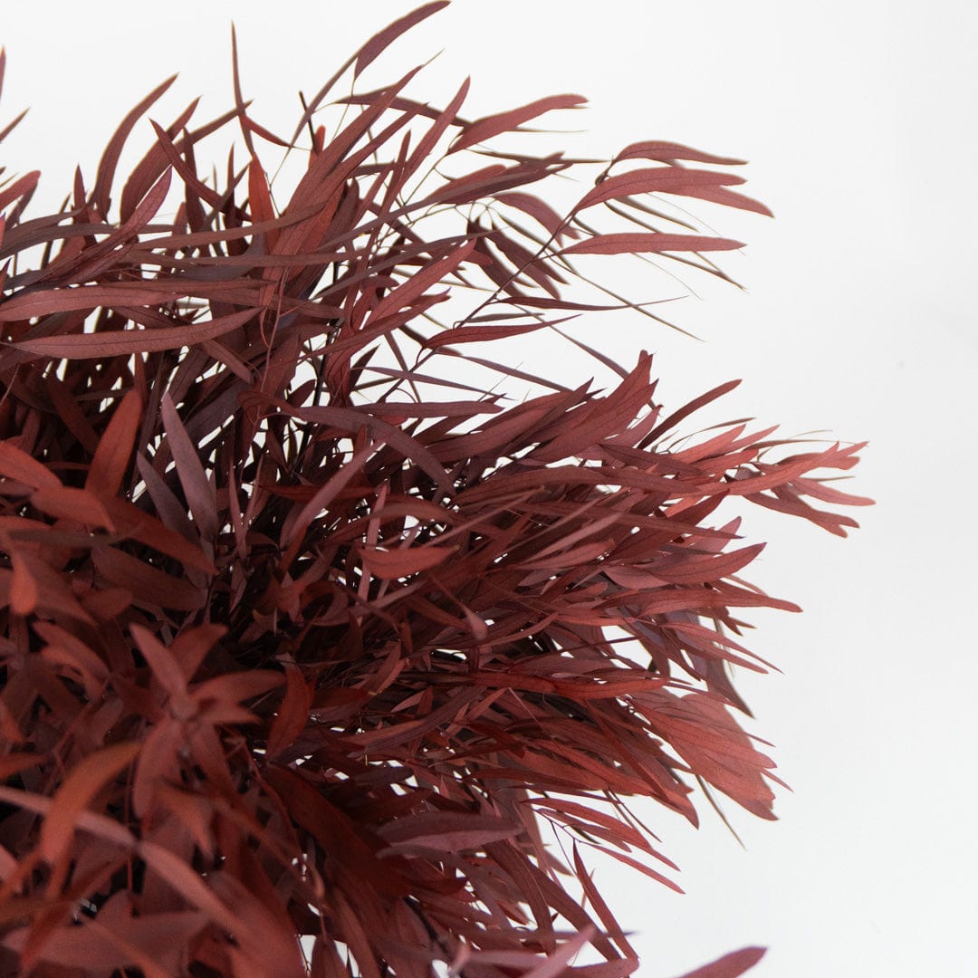 Ramo Eucalipto Nicholli Granate