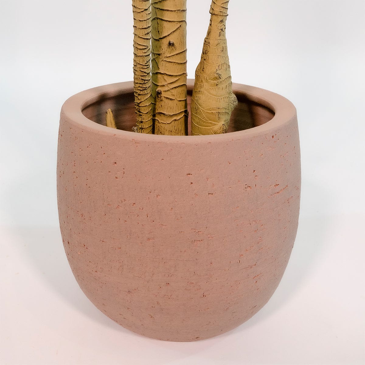 Dracena Verde Imperial