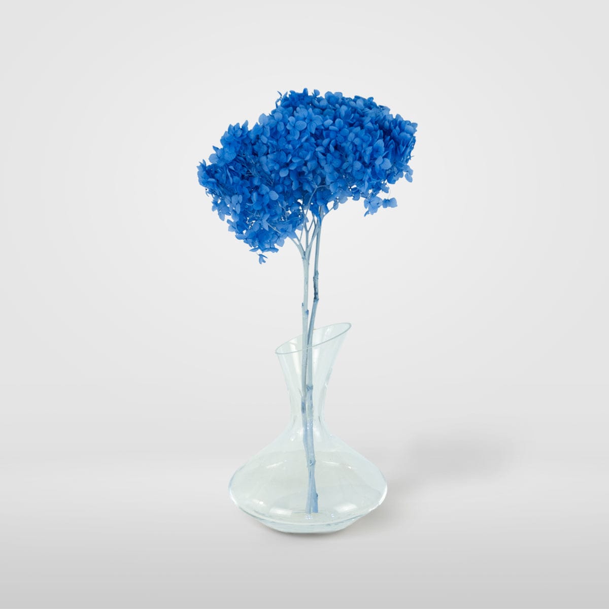 Ramo Hortensia Azul