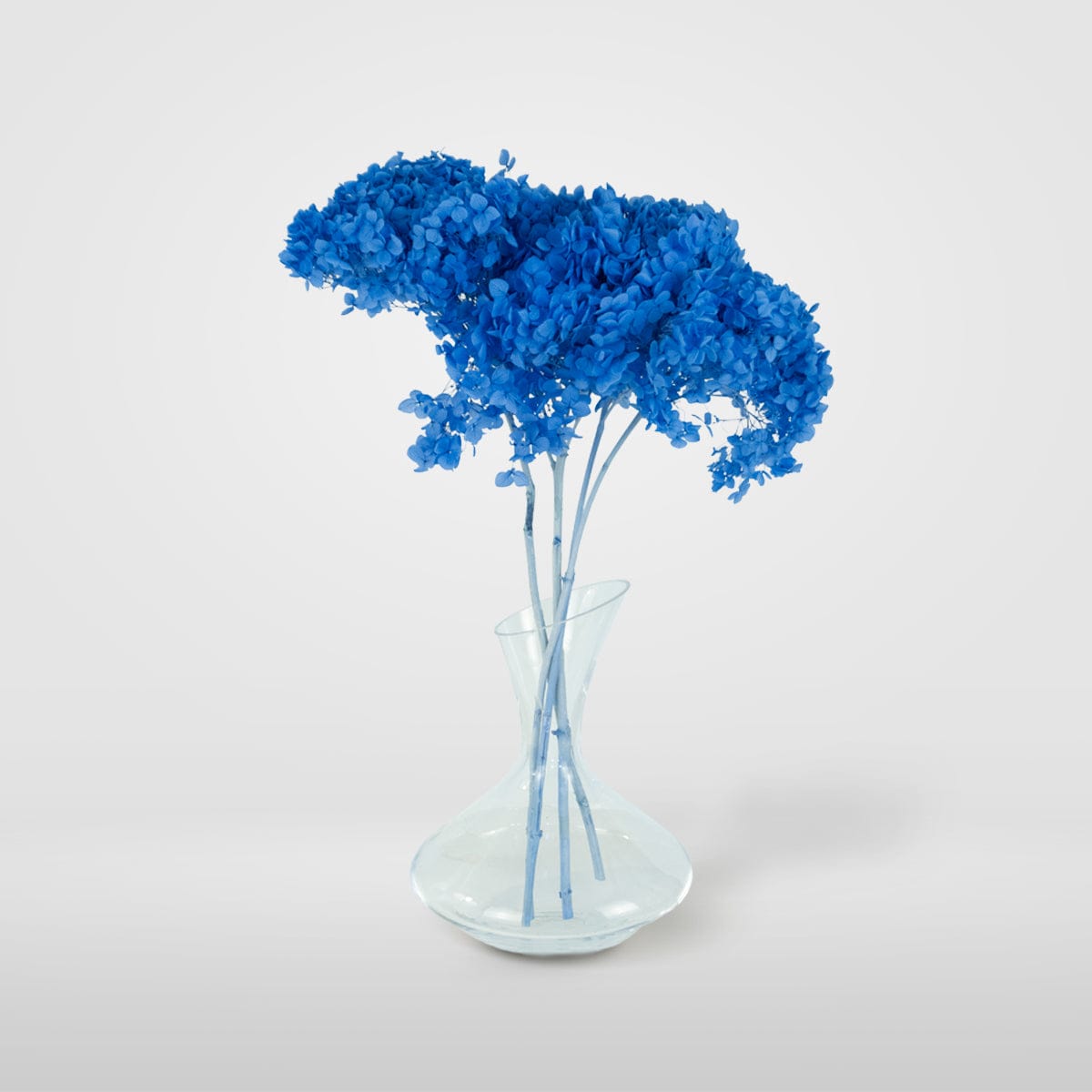 Ramo Hortensia Azul