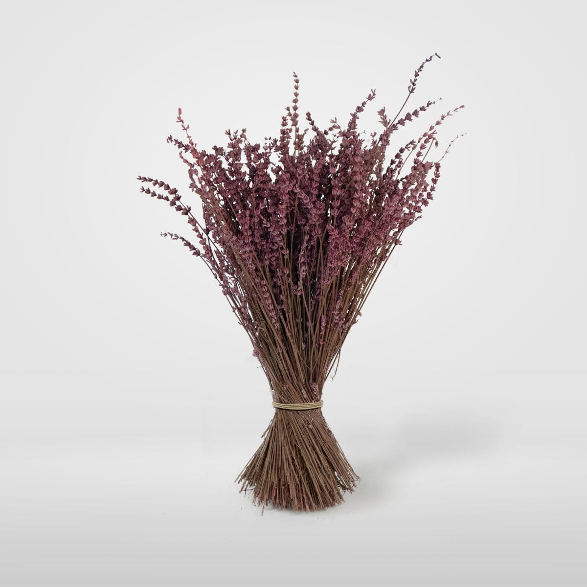 Ramo Lavanda Fucsia