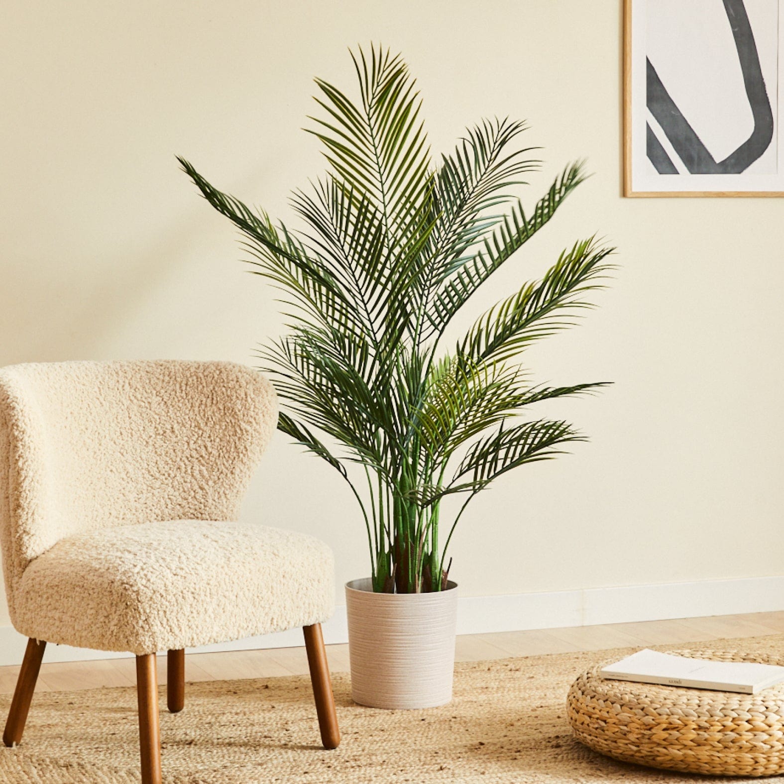 Palmera Areca