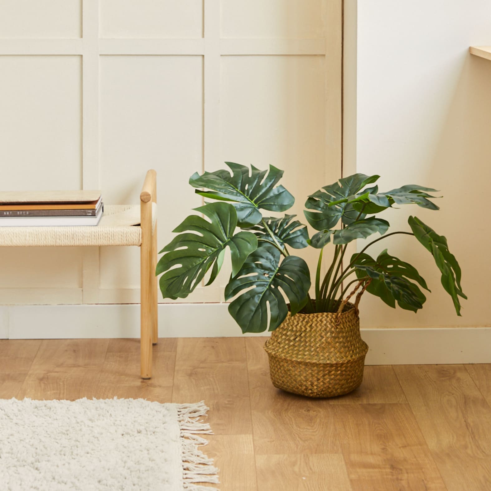 Monstera