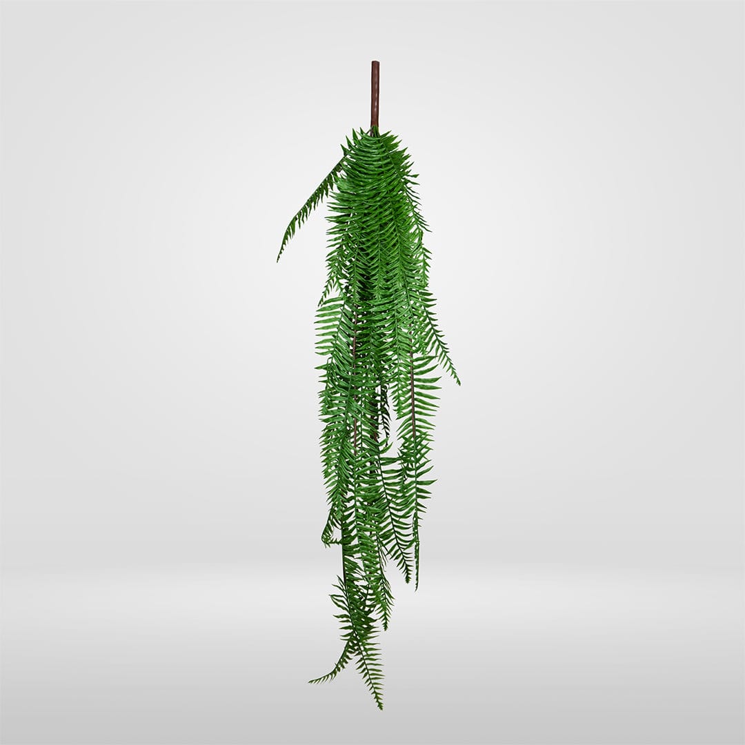 Helechosa Colgante Verde