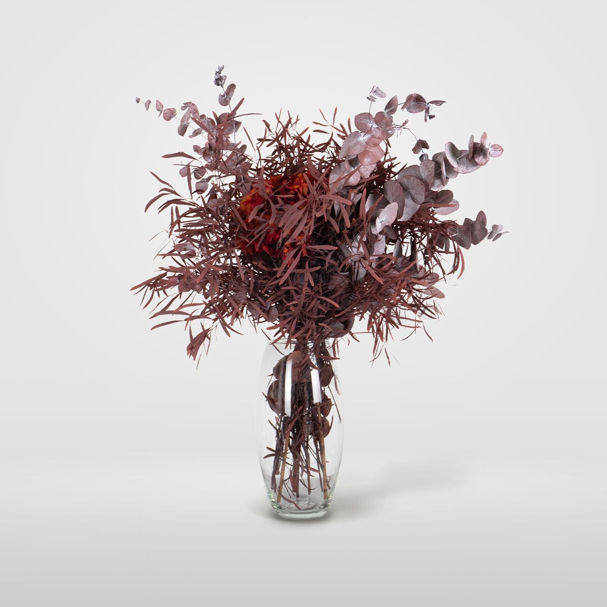 Ramo Nicholii Hortensia