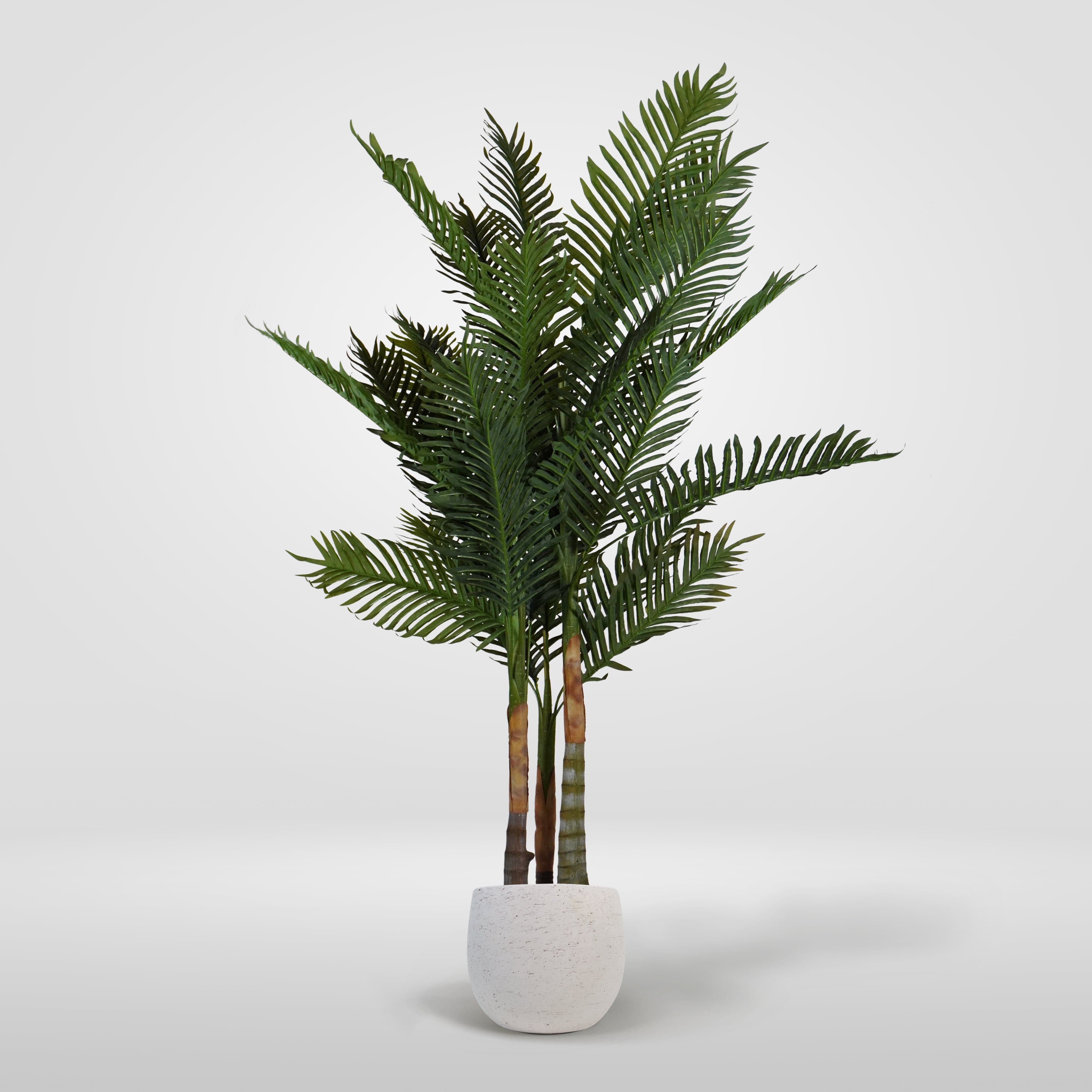 Palmera Tropical